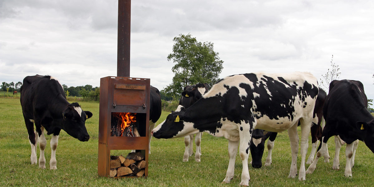 kaggel_lookbook_2-1200x600