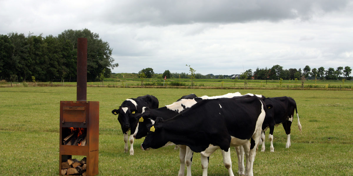 kaggel_lookbook_4-1200x600